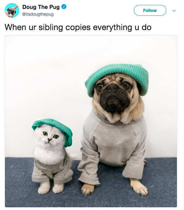 sibling memes