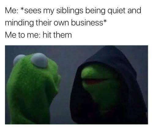 siblings meme