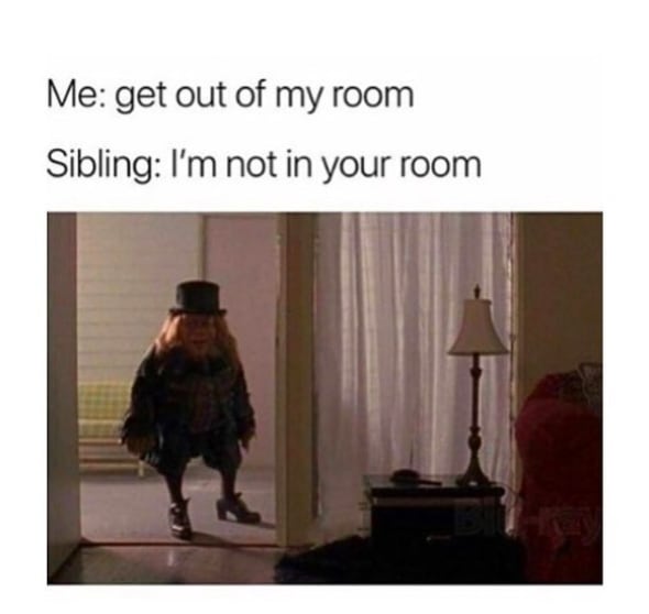 sibling memes
